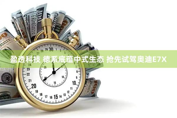 盈透科技 德系底蕴中式生态 抢先试驾奥迪E7X
